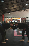 Bjj Private Class